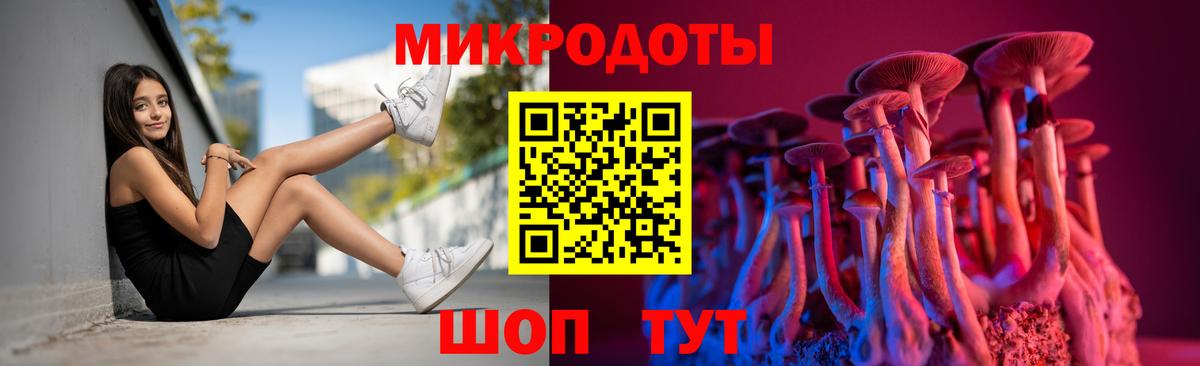 Псилоцибиновые грибы GOLDEN TEACHER Сочи